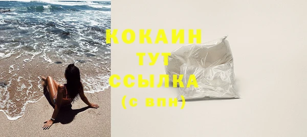 дживик Осинники