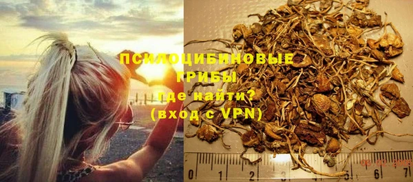 МДПВ Остров