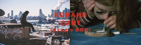 дживик Осинники