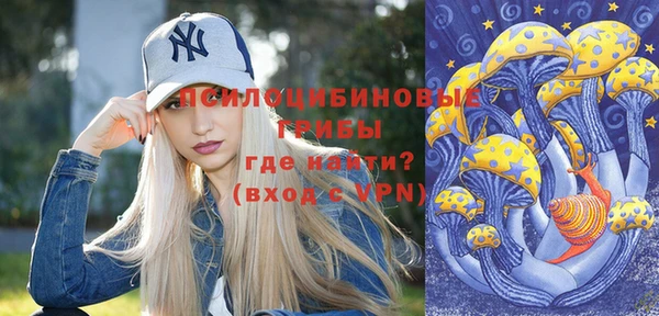 дживик Осинники