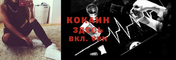 дживик Осинники