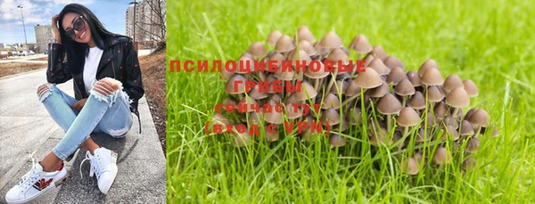 МДПВ Остров