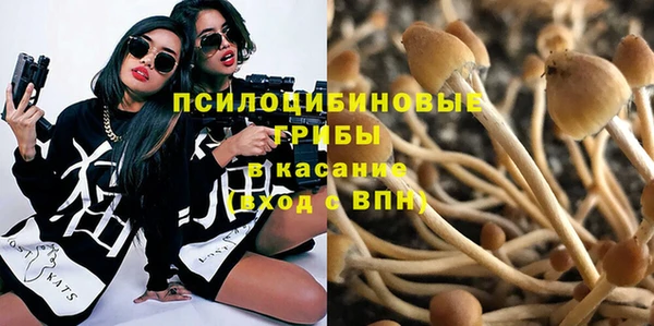 МДПВ Остров