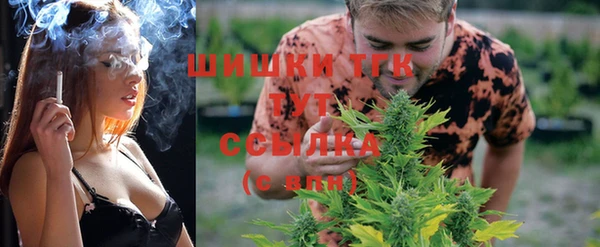 дживик Осинники