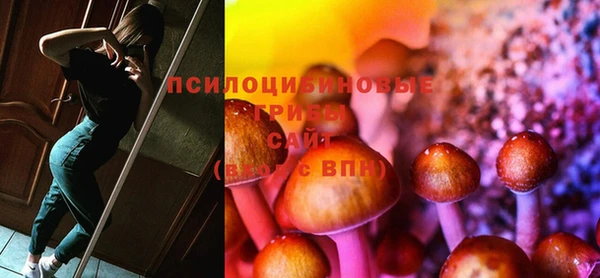 дживик Осинники