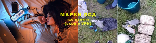 дживик Осинники